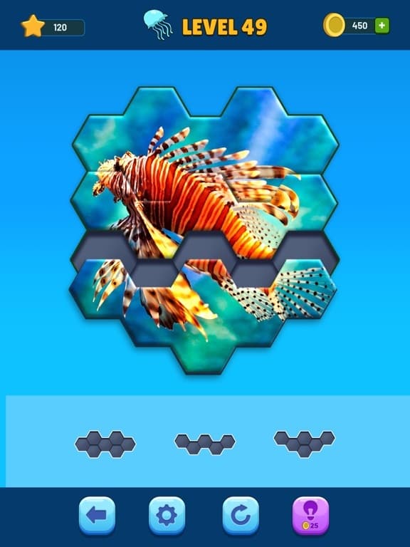Hexa Jigsaw Puzzle screenshot 3