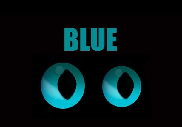 Blue project