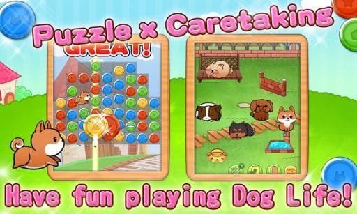 Cute Dogs Life screenshot 6