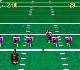 Pro Quarterback screenshot 4