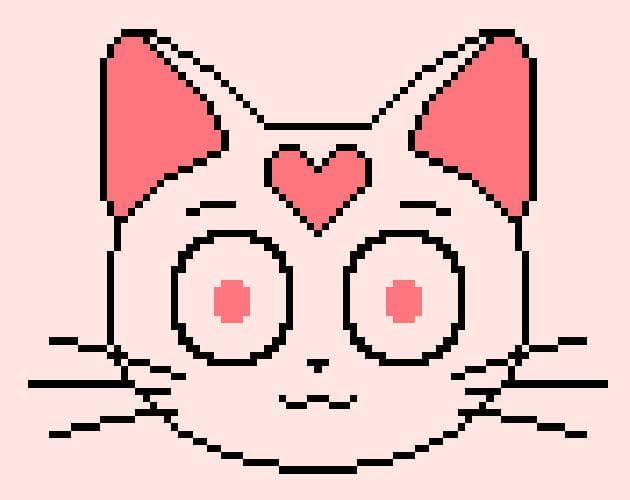 My cat friend!