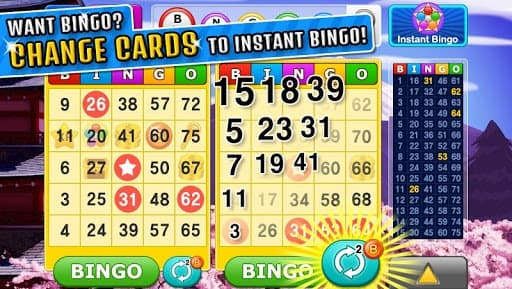 Bingo Craze screenshot 4
