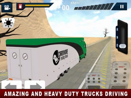 Driving Truck US Deset Way screenshot 4