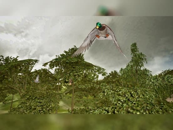 Classic Bird Hunter: Real Forest Shooting Simultor screenshot 3