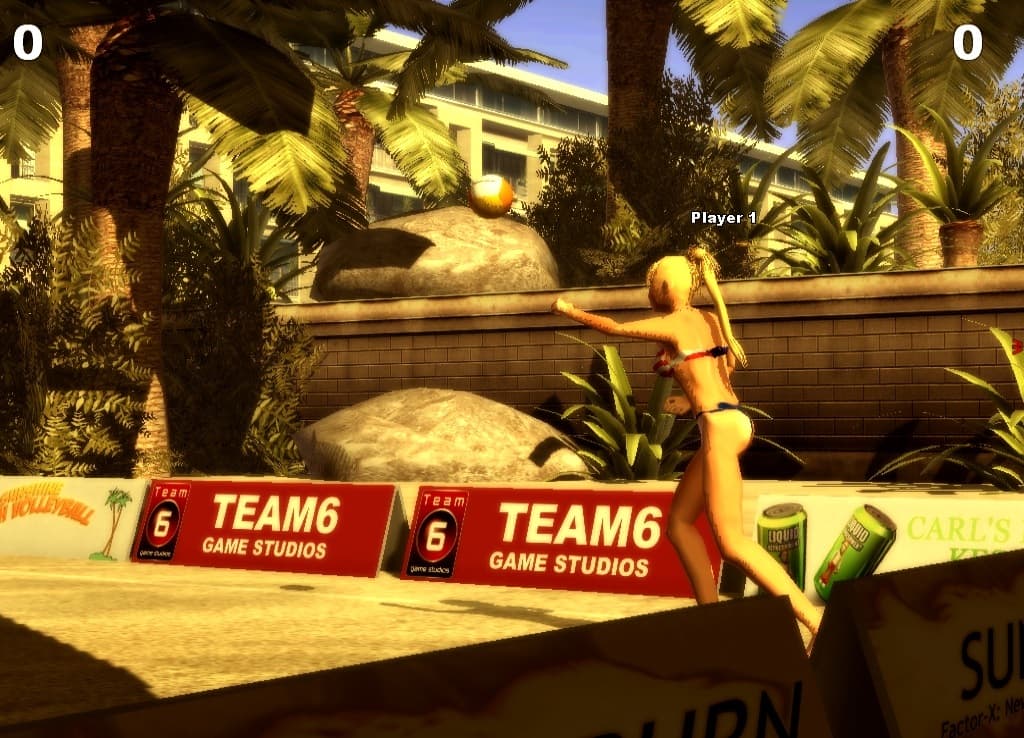 Sunshine Beach Volleyball screenshot 6