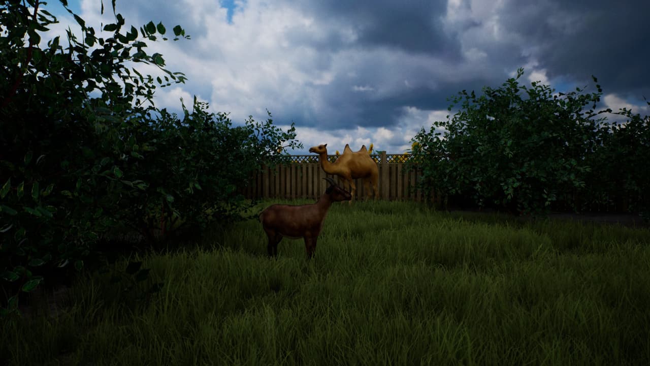 Country Road VR