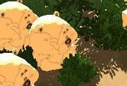 DanceBear