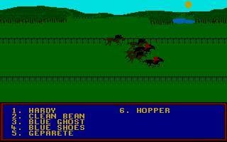Horse Racing Simulator