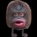Funny Monkey Stinky Challenge Game