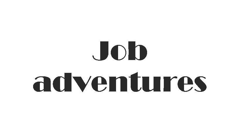 Job Adventure screenshot 3