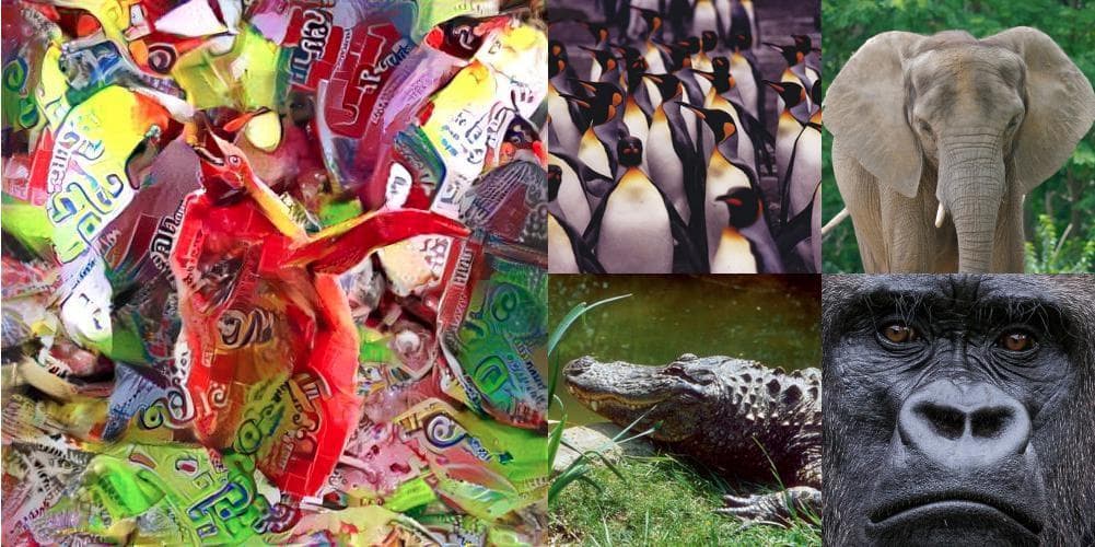 ImagiZoo