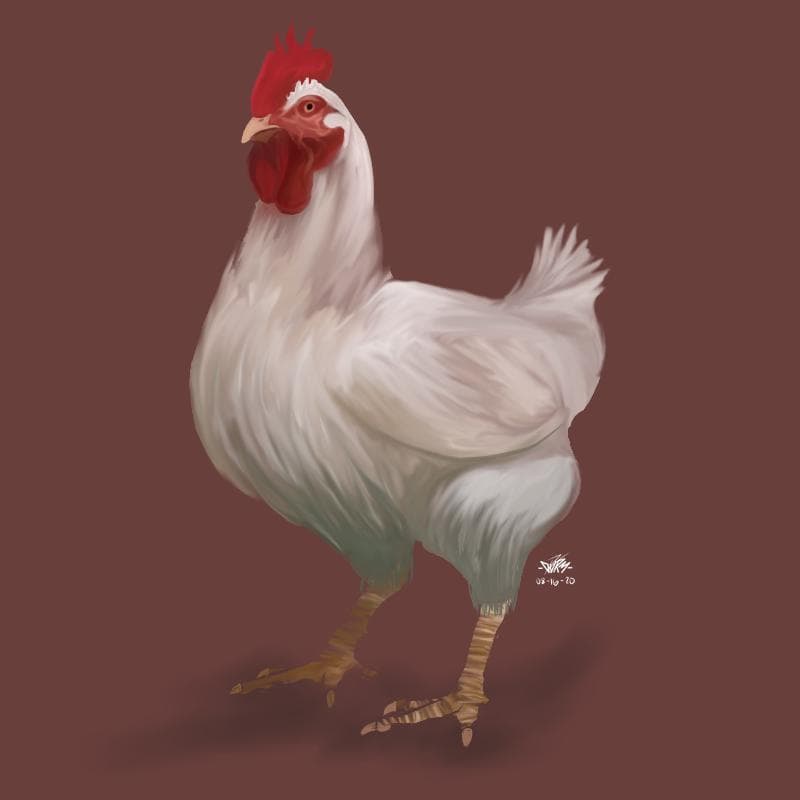 mr chiken fartss adventure