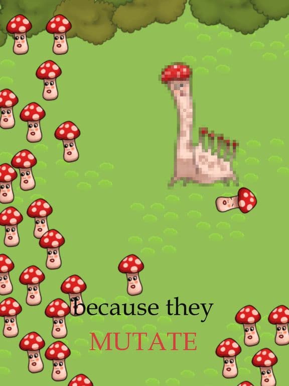 My Mushroom Mutates
