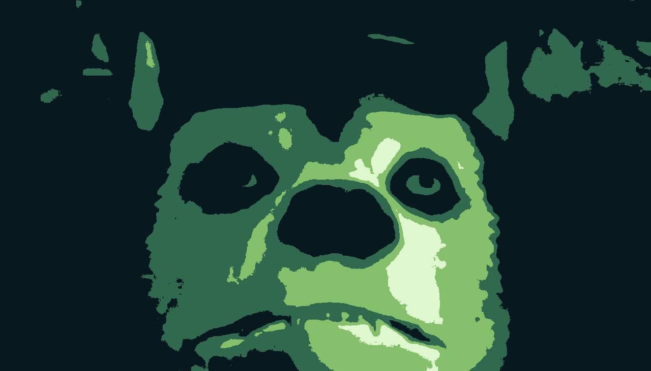 You Are Poncho And Everyone Loves You