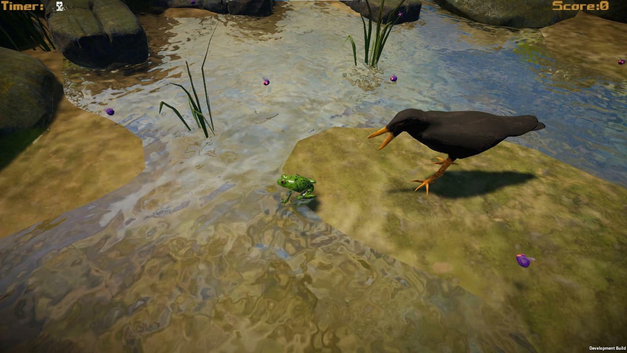 Frog Simulator