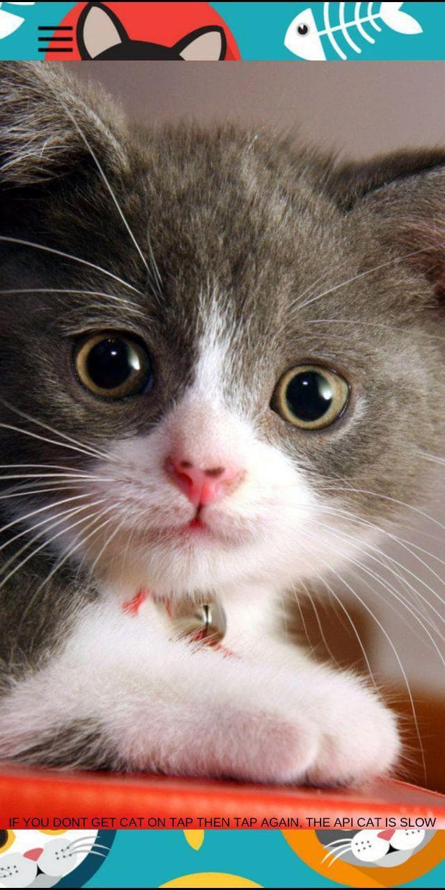 TapToCat screenshot 2