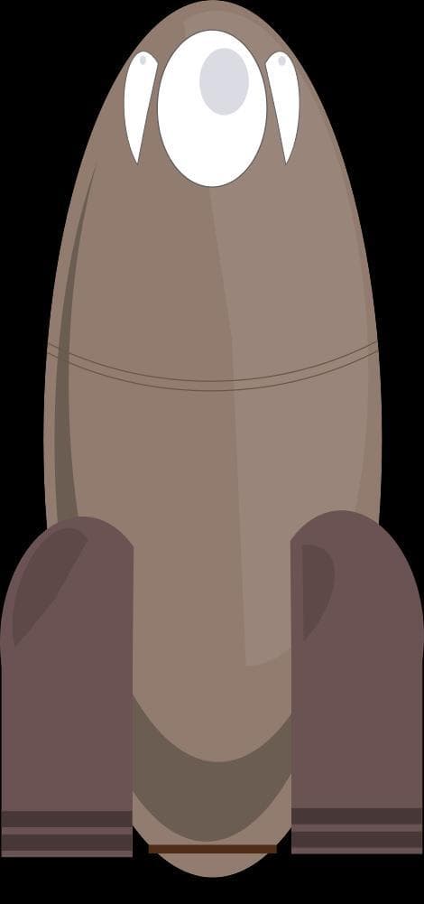 Rid-Rocket