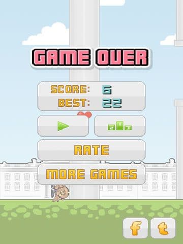 Flying President
