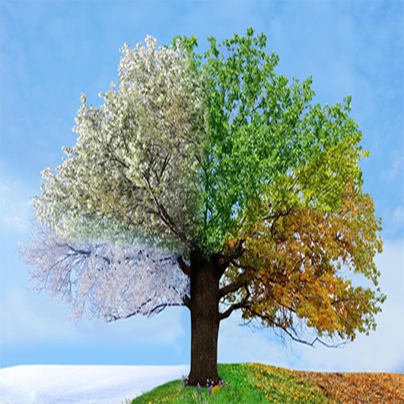 Seasons -Demo