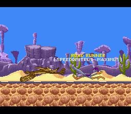 Road Runners Death Valley Rally screenshot 3