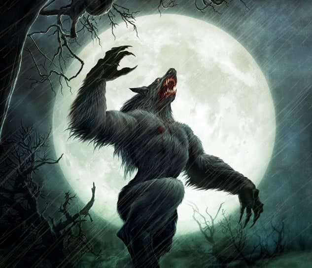 Werewolf Night MV