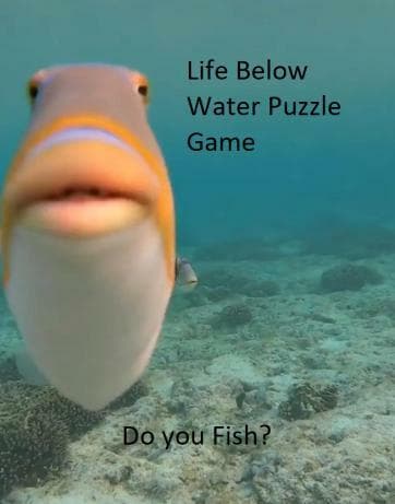Life Below Water