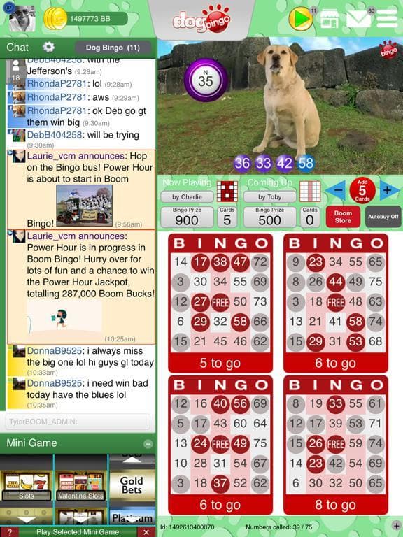DOG BINGO - Live Dog Bingo & Slots! screenshot 3