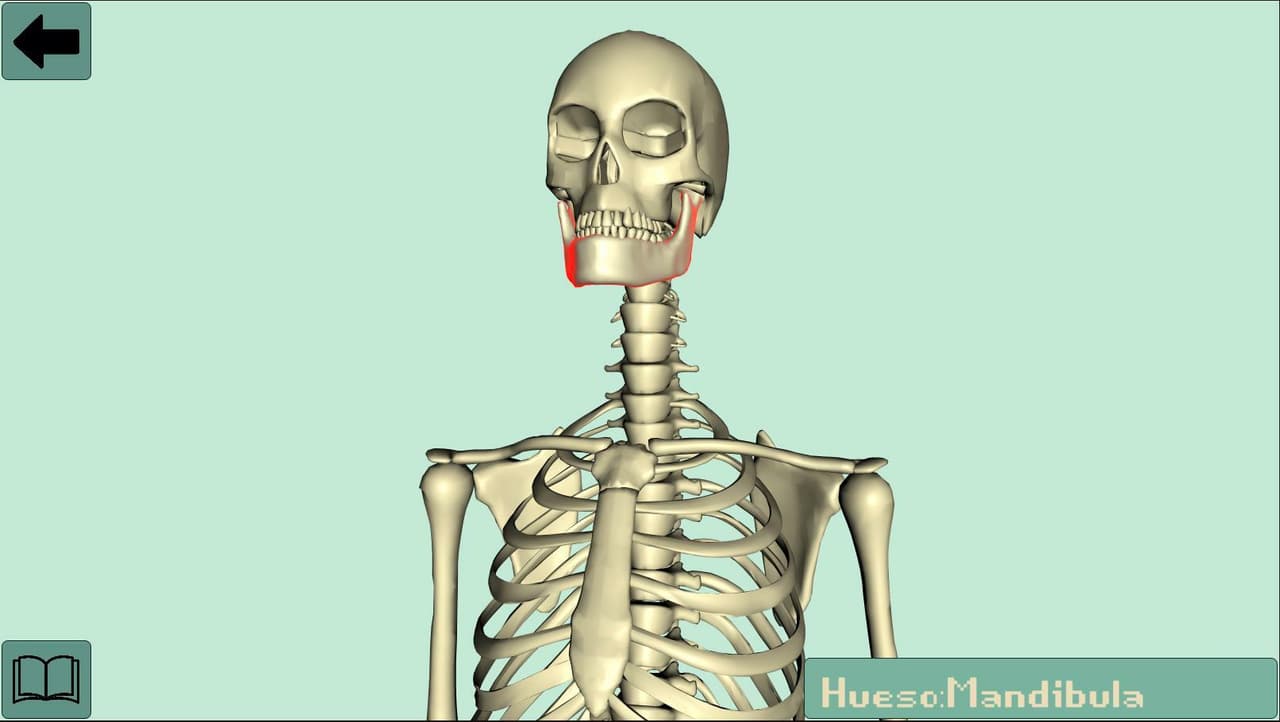 Anatomy study screenshot 3