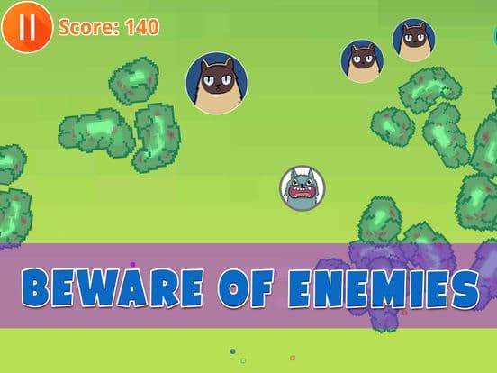 Cat.io