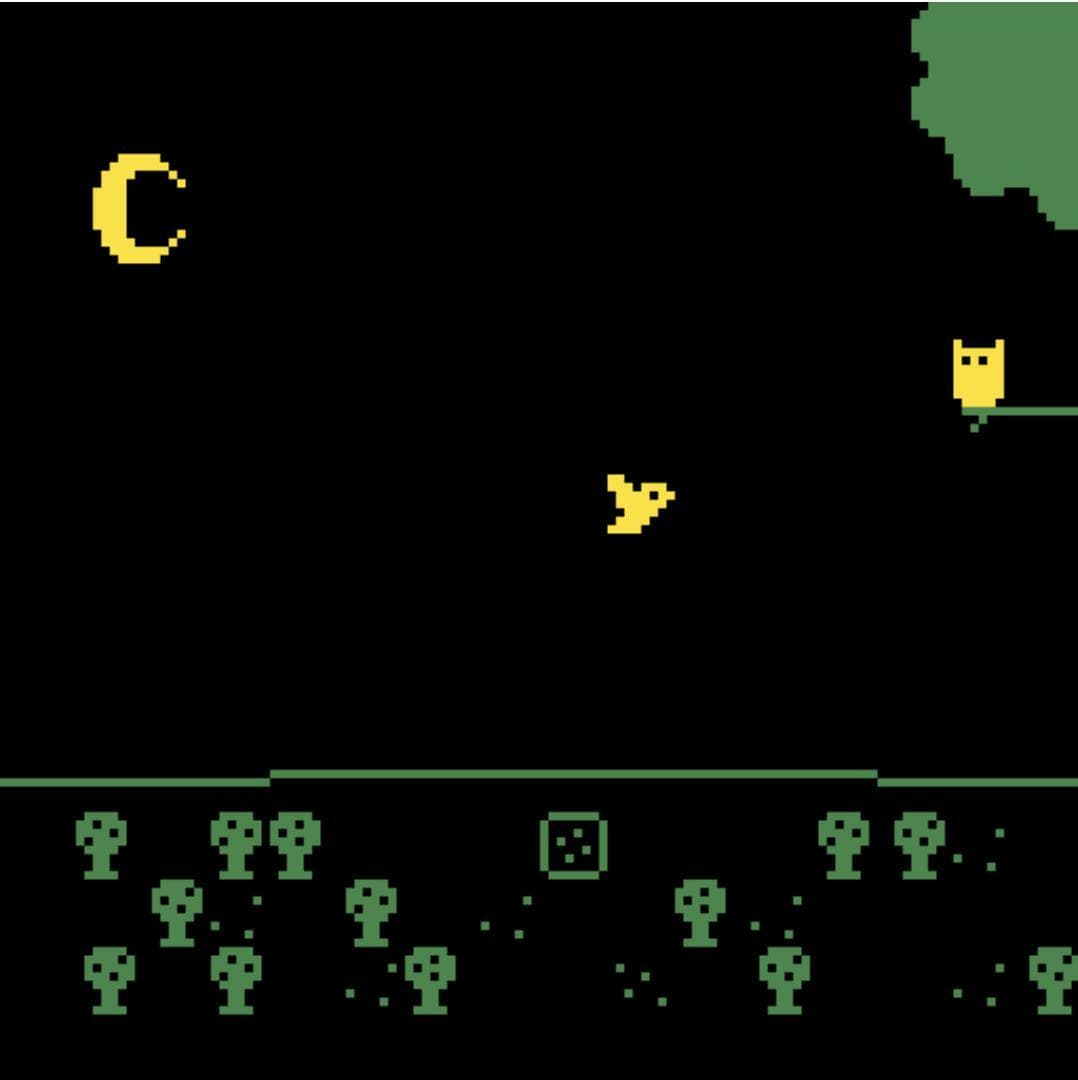 Canción de pájaros screenshot 3