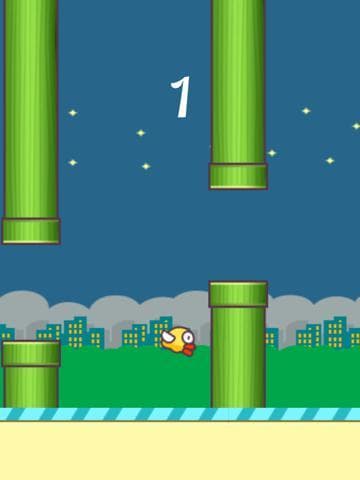 Fly Birds-Make Them Bouncing Jump screenshot 6