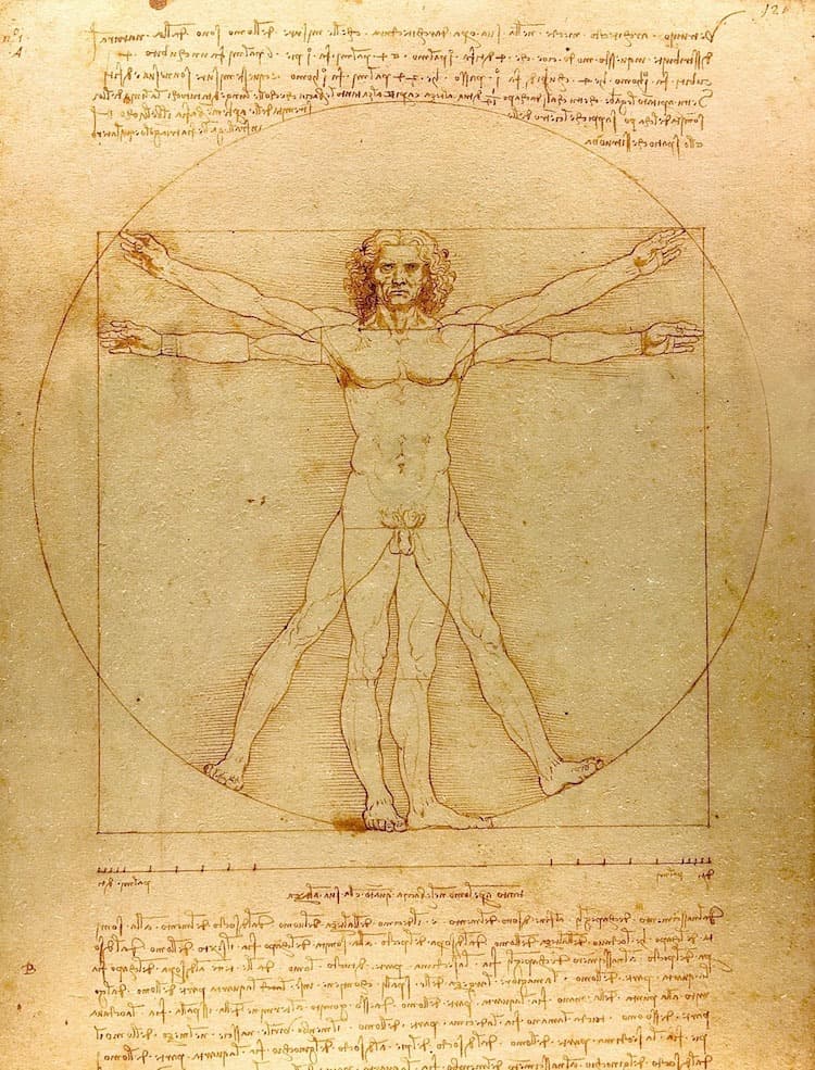 Da Vincis Man