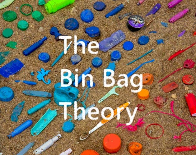 The Bin Bag Theory