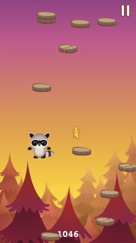 Rocky Racoon