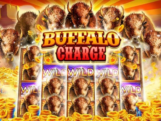 Magic Bonus Casino screenshot 3