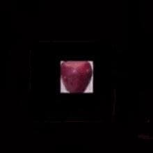 trashGame