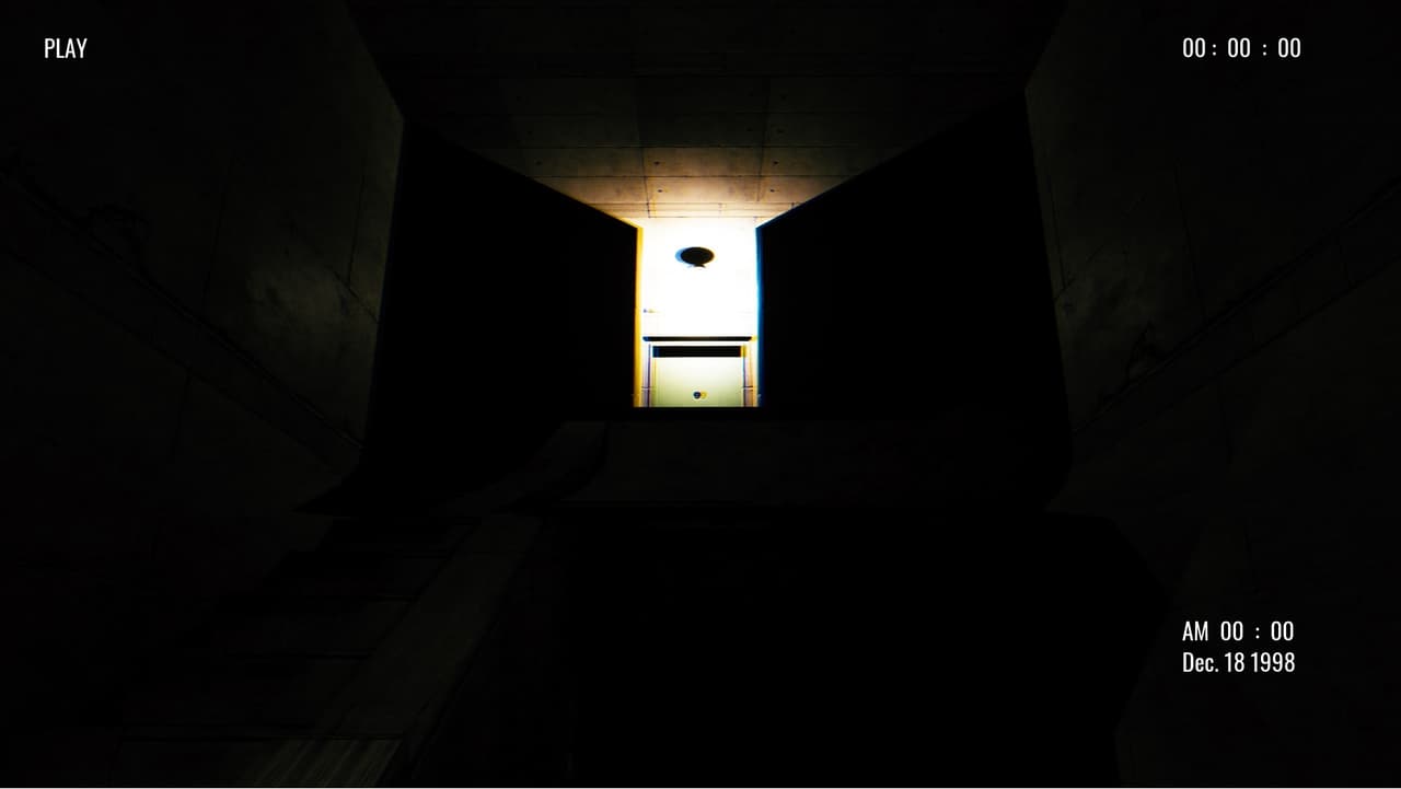 I Opened the Walls and Found Something Beautiful