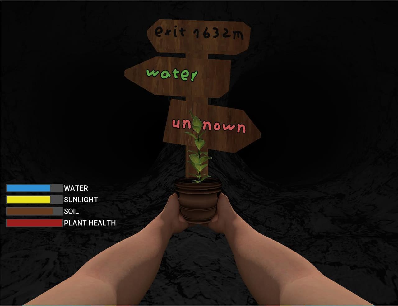 Planted in a Cave