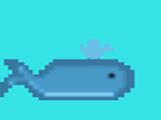 Annoying Whale