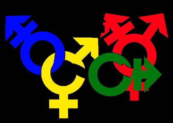 Intergalactic Sex Olympics