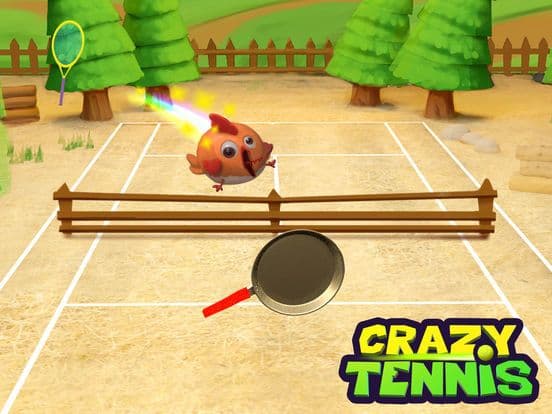 The Crazy Tennis screenshot 3