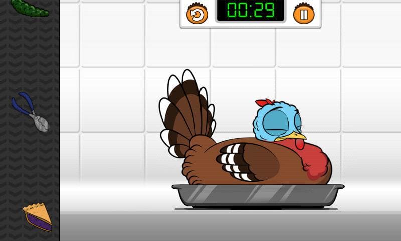 Turkey Stuffin