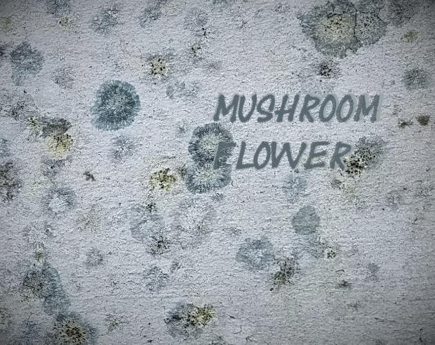 mushroom flower