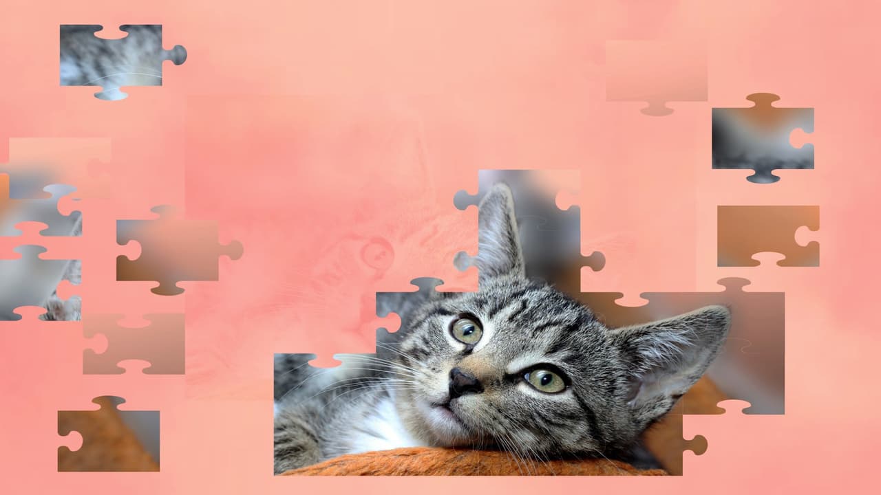 Jigsaw Puzzle Cats screenshot 4