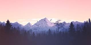 In The Mountains