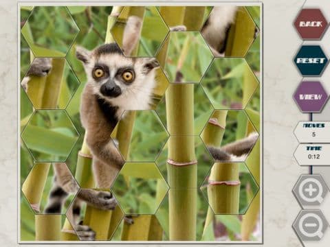 HexSaw - Zoo screenshot 4