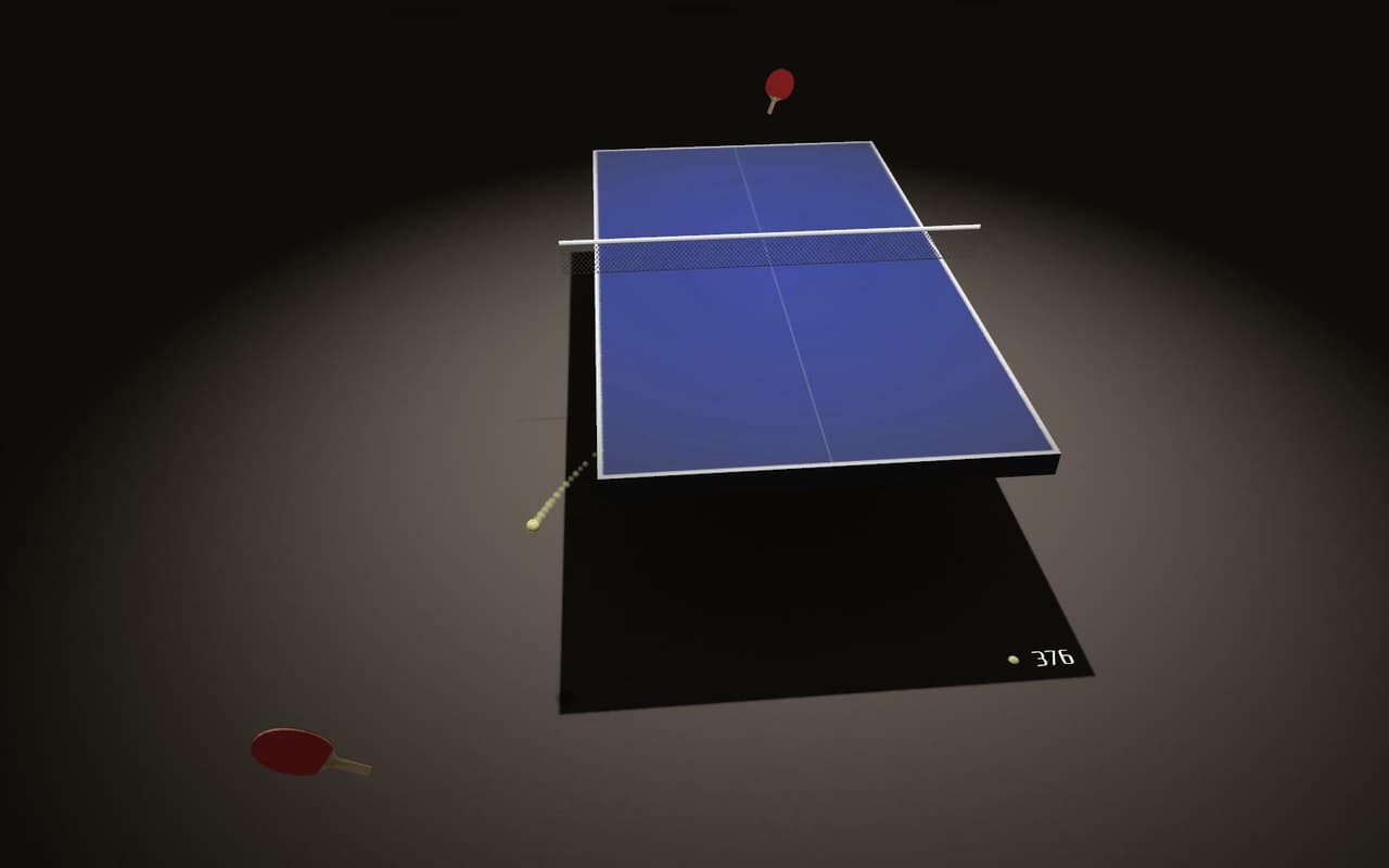 Endurance Ping Pong screenshot 3