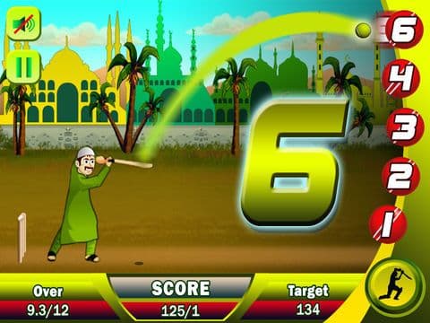 Ramzan Cricket Pro