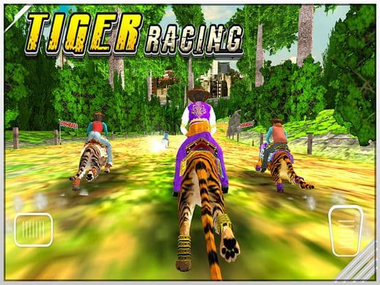 Tiger Racing: Simulator Race