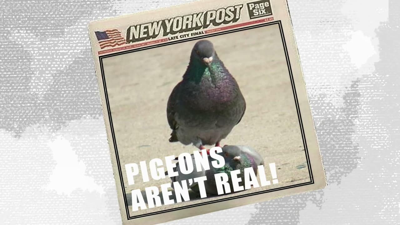 Pigeons Arent Real screenshot 4